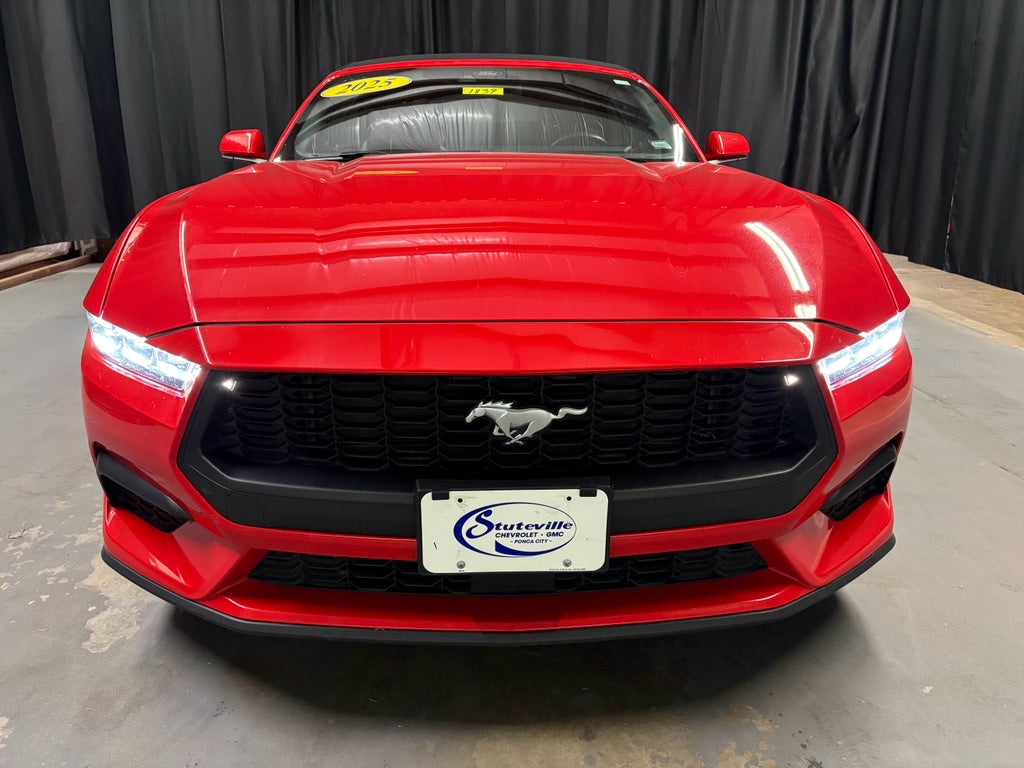 2025 Ford Mustang EcoBoost